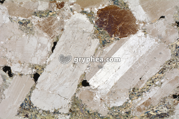 Métagabbro à Hornblende LPNA x3,5 - gryphea.com